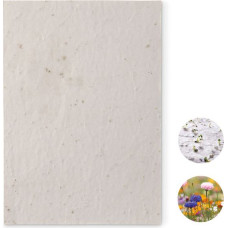 A5 wildflower seed paper sheet