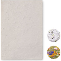 A6 wildflower seed paper sheet