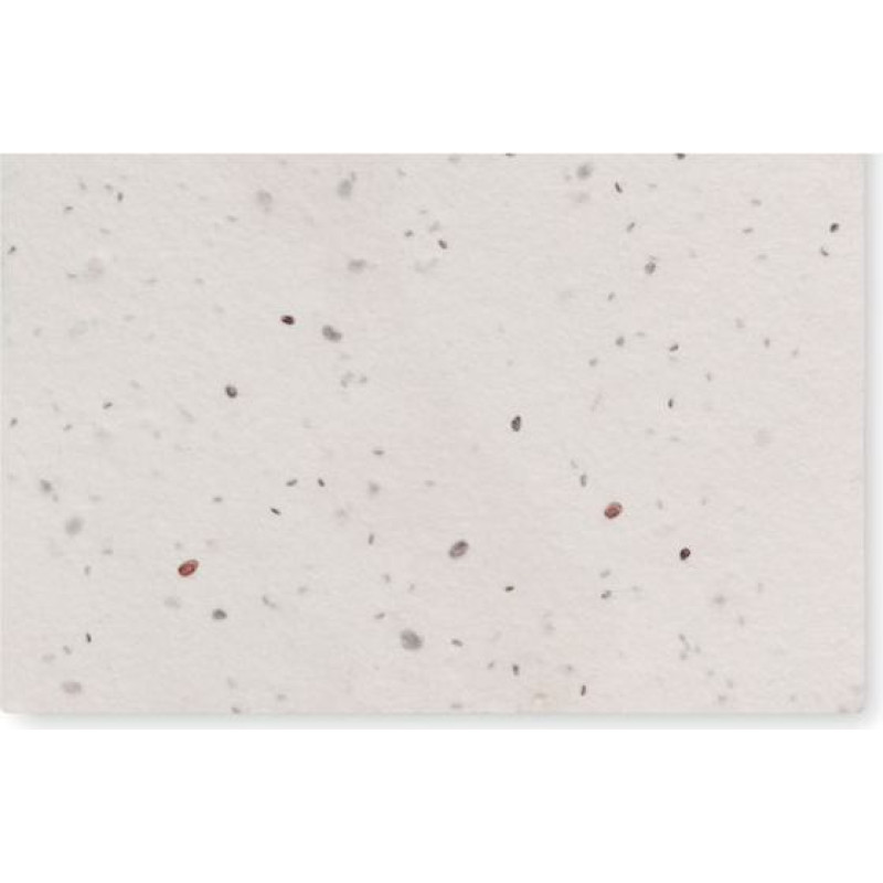 Wildflower seed business card.