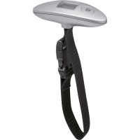 Luggage scale